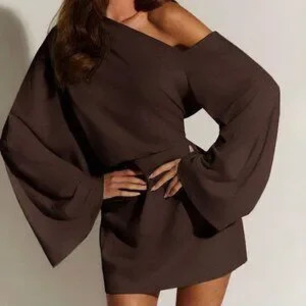 Brown Casual Women's Minimalist Comfortable Asymmetric Neckline Mini Dress